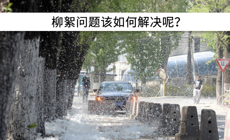 遇到“柳絮”不慌!這樣做，節(jié)能維修費(fèi)用